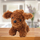 Lodër pelushi qen Miniature Poodle, 20 cm, ngjyrë kafe