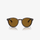 Ray-Ban RB7680S 902/33 51