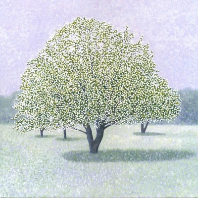 Kartë urimi Susan Entwistle “Apple Tree In Winter”, me zarf, shumëngjyrëshe
