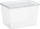 Kuti këpucësh Plast Team Basic Box, plastike, transparente