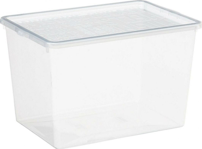 Kuti këpucësh Plast Team Basic Box, plastike, transparente
