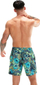 Shorc noti Speedo Digital Printed Leisure, 18", për burra, blu e gjelbër me print