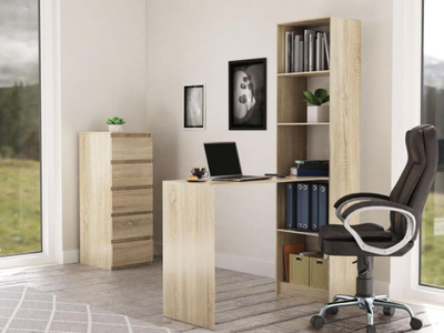 Topeshop R50 Компјутерско Биро со Полица, Oak