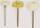 Set lustrimi Proxxon PR28285, 10 copë