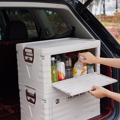 Organizues bagazhi Camping Picnic Box, 50L, i palosshëm, plastik