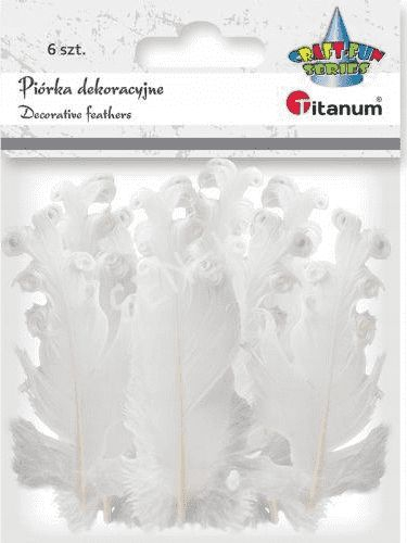 Ornamente zbukuruese Titanum, 6 copë, të bardha