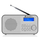 Radio e Portative me FM/DAB+ LCD dhe Alarm GOGEN GOGDAB300N