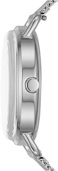 Orë dore Skagen Horizont SKW2947 hSK209