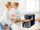 Fritezë me ajër Noveen Deep Fryer AF550, 6.5L, panel me prekje, e zezë
