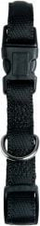 Qafore për qen Zolux Cushion, najlon 20mm, 27-37cm, blu
