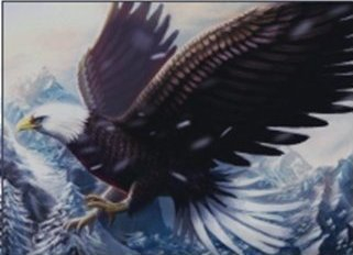 Set mozaik me diamante Norimpex Diamond Mosaic Eagle 1004948, 30 x 40 cm, shumëngjyrësh