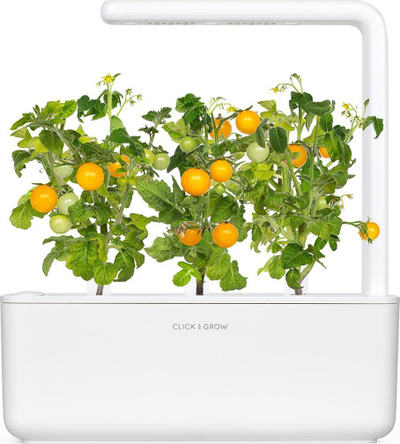Kapsula bimore Click &amp; Grow, Yellow Mini Tomato, set me 3 copë