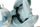 Lekundese Badger Felix- Dusty blue