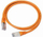 Kabllo DeLock RJ45, Cat. 5e, UTP, 0.25m, PP12, portokalli