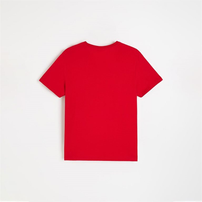 Bluzë T-Shirt Diverse CORE LOGO 262