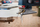 Set sharra xhigso Bosch 2608630558 Clean Wood, 1 Lug, paketë 3 copë, argjend