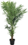 Bimë artificiale ProGarden Fier, 150 cm, në vazo, jeshile