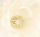 Aranzhim me lule Magnolia Composition In Vase, 75cm, vazo qeramike, e bardhë