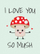 Love You So Mush - Summersdale