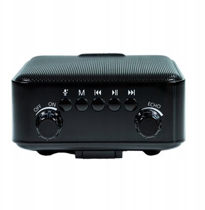 Пренослив звучник DNA PPS1, 10W, Bluetooth, црн