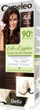 Bojë flokësh Delia Cameleo Color Essence, 4.4 Spicy Brown, 75g