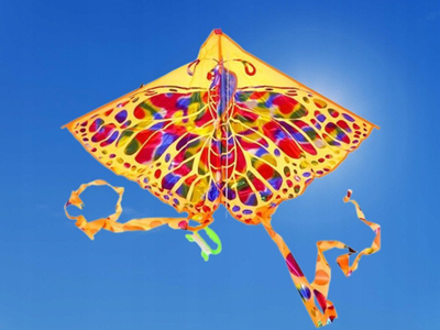 Fluturake Adar Butterfly, 73 cm, me pe dhe dorezë, shumëngjyrëshe