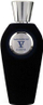 Parfum V Canto Magnificat V Extrait de Parfum, 100ml, unisex