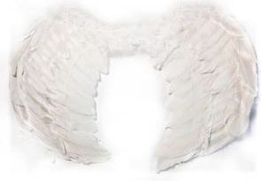 Kostum engjëlli Halo Wings, krahë 60x45cm, pupla natyrale, i bardhë