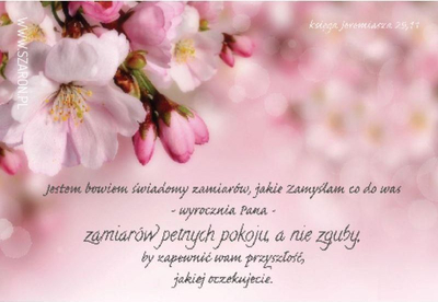 Magnet dekorativ frigoriferi Szaron For I Am Aware, motiv biblik, dizajn me lule rozë