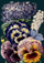 Kartolinë Madame Treacle Pansies at Night, format B6, me zarf, shumëngjyrëshe