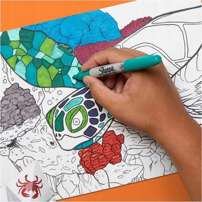 Set markera Sharpie Permanent, 18 copë, majë e hollë, shumëngjyrësh
