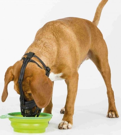 Maskë për qen Trixie Muzzle Flex, S, e zezë