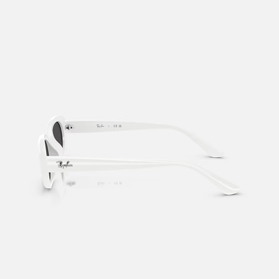 Ray-Ban RB4441D 677287 53