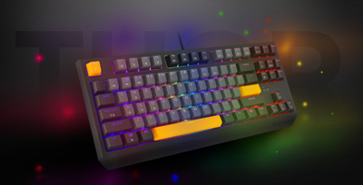 Механичка тастатура Genesis Thor 230 TKL, Outemu Red, RGB, црна