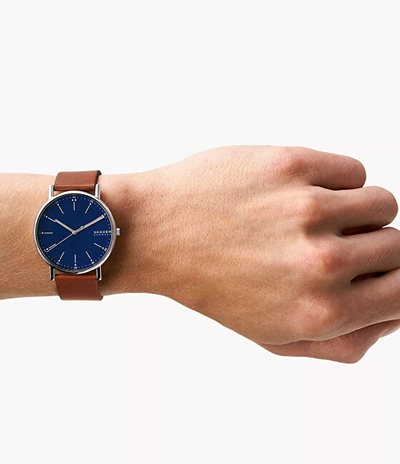 Orë dore për meshkuj Skagen Signature, e kaftë