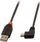 Kabllo Lindy USB-A në miniUSB, 1m, e zezë
