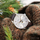 Orë dore Certina Moon Phase C033.457.16.031.00
