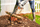 Sharrë hark Black+Decker Bow Saw, 61 cm, me dorezë komode, ngjyrë e zezë me portokalli