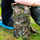 Çantë shpine për hiking Nils Extreme NC1732, 15 l
