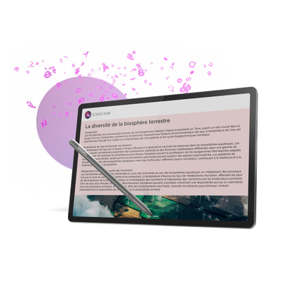Tablet Lenovo Idea Tab Pro, 12.7", 8GB 256GB, gri