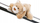 Lodër pelushi me magnet Nici Mielo Bear 49453, 12 cm, bezhë
