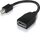 Përshtatës Lenovo DisplayPort Mini Cable - DisplayPort, 0.15m, e zezë