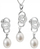 Set Evolution Group 29036.1