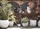 Vazo lulesh Capi Nature Row Elegant Low, 36x47 cm, ivory