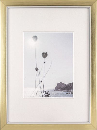 Kornizë fotografish Walther Design Beyond PS, 29.7 x 42 cm, e argjendtë