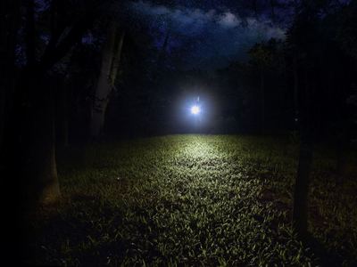 Elektrik dore LED Fenix E12, 3100 lumens, bateri 5000 mAh, i zi