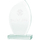 Trofe xhami Victoria Sport 3D, me gdhendje, me kuti, transparent