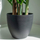 Bimë artificiale dekorative Vilde Areca Palm, 95 cm, me vazo, e zezë