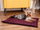 Dyshek për qen Velvet Mat, 50x70 cm, material velvet, ngjyrë kumbull