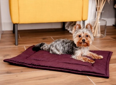 Dyshek për qen Velvet Mat, 50x70 cm, material velvet, ngjyrë kumbull